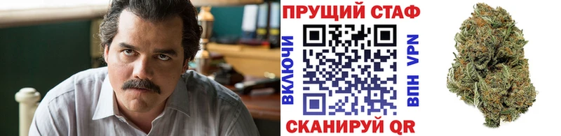 Виды наркотиков купить Бийск Марихуана  A PVP  Гашиш  COCAIN 