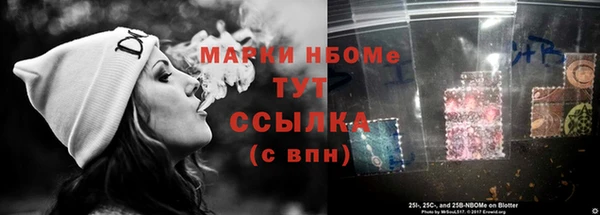 сатива Бородино