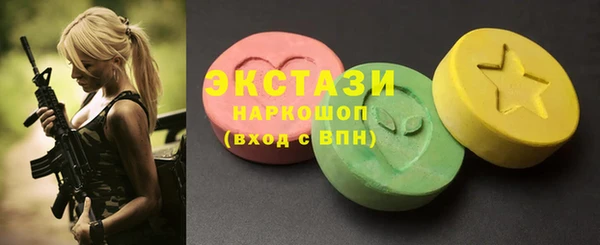 сатива Бородино