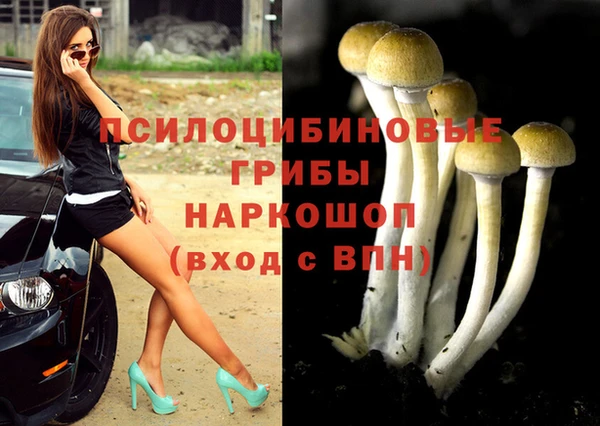 сатива Бородино