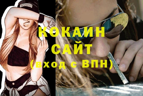 сатива Бородино