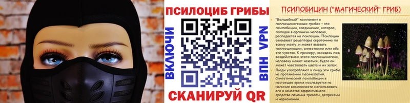 купить наркоту  Бийск  МЕГА   Псилоцибиновые грибы прущие грибы 